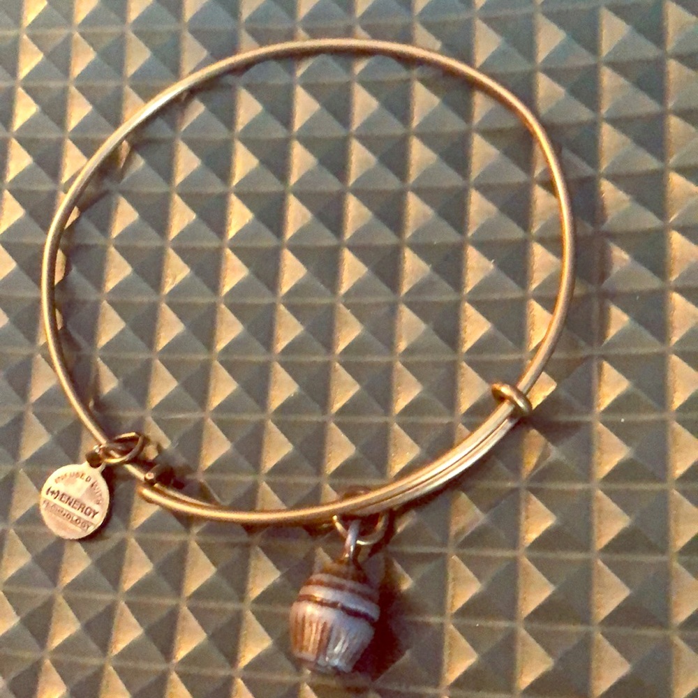 Cupcake Alex and Ani bangle